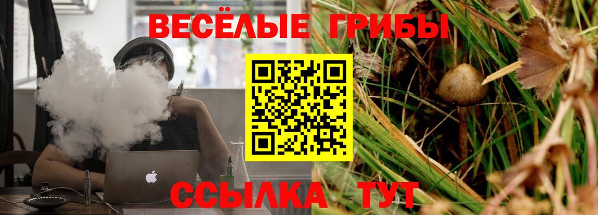 Псилоцибиновые грибы Psilocybine cubensis Чехов